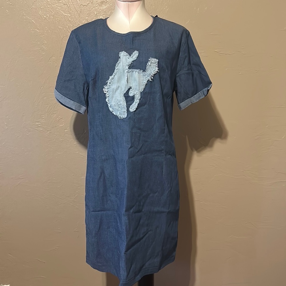 Crazy train denim looking dress